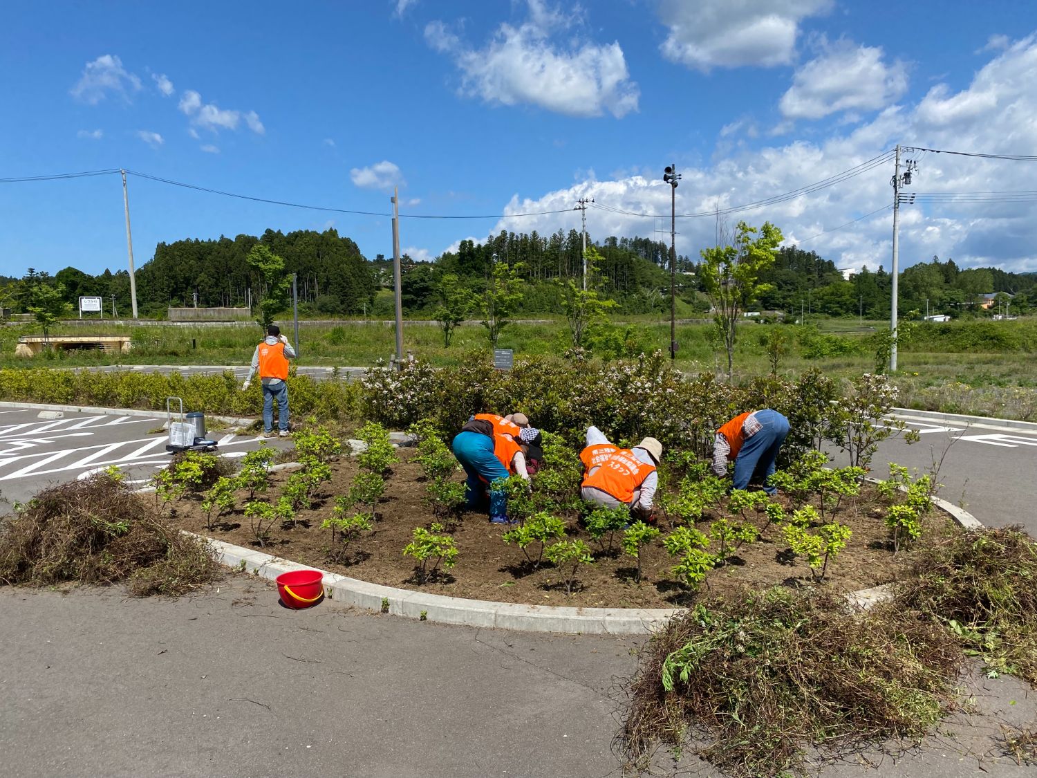 雑草がほとんどなくなり、植木が見える駐車場の植え込みで数人がかがみ作業をしており、周りには刈り取られた草や枝が山積みになっている写真