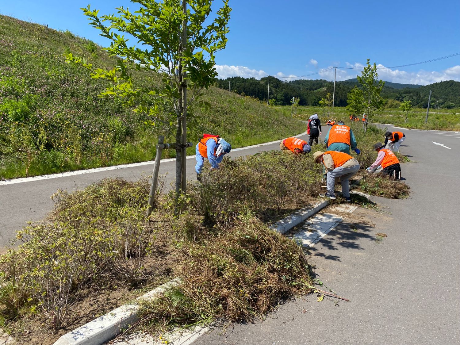 レンジ色のベストを着た人々が道路脇の植え込みで作業をし、脇には雑草や枝が山積みになっている様子の写真