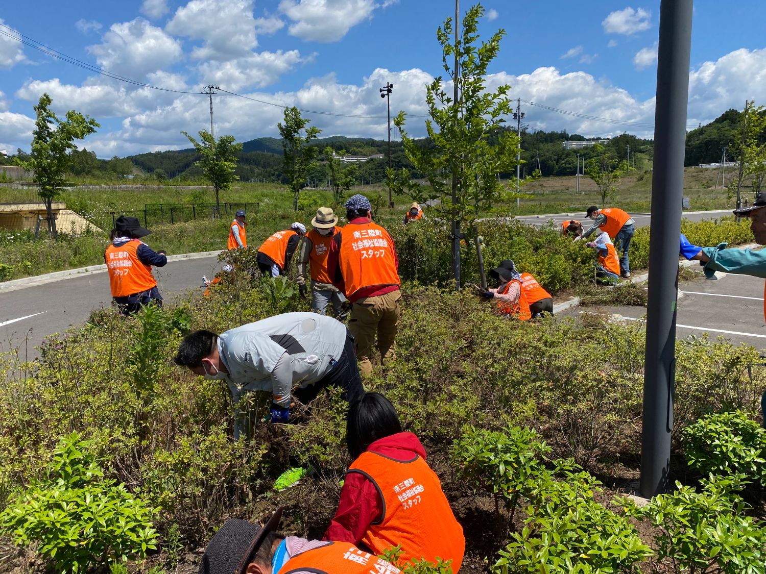 オレンジ色のベストを着たたくさんの人が、駐車場の周りの植え込みの整備をしている様子の写真