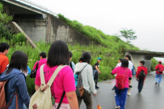 参加者たちが左手の草が生えた斜面の方を見ながら道路を歩いている様子を写した写真