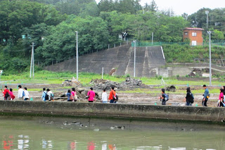 川沿いの堤防を十数人の参加者たちが歩いており、背景に森と土砂のような跡が見える、浸水エリアを回っている様子の写真