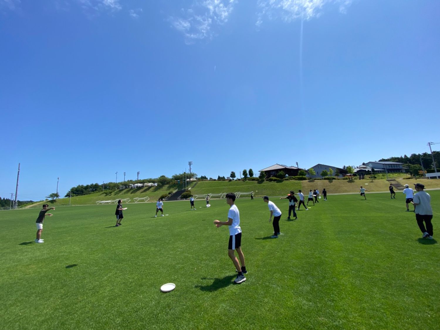 広々とした芝生のグラウンドで、青空の下、多くの若者たちが円になってフリスビーを投げ合いながら体を動かしている様子