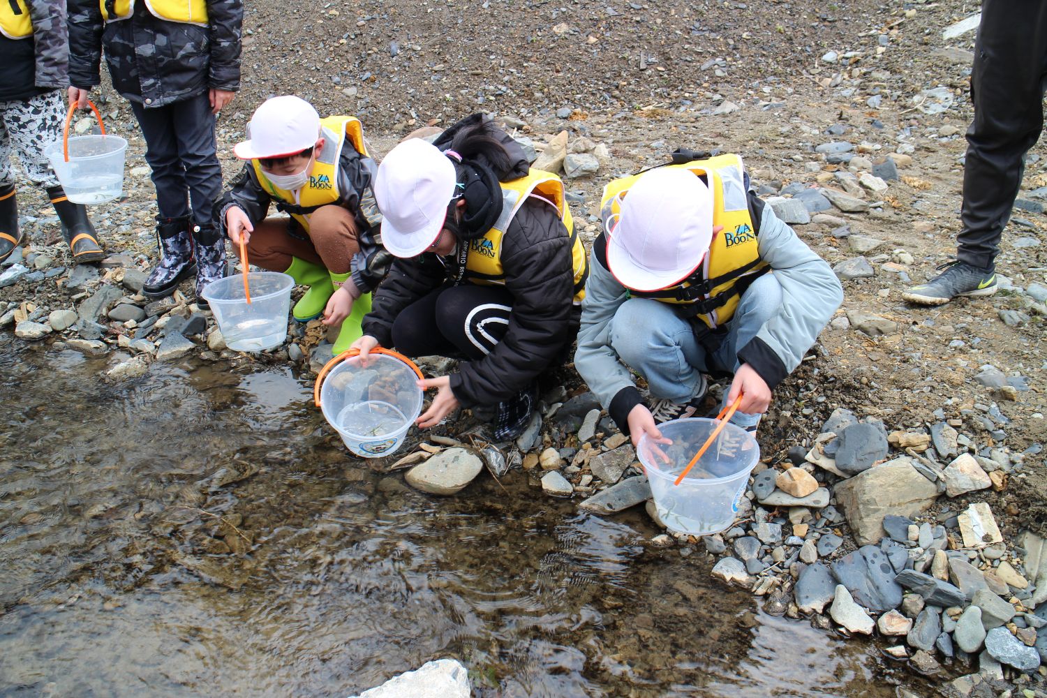 黄色いライフジャケットを着た児童たちが川の岸辺にしゃがみ、バケツに入れた稚魚を放流しようとしている様子の写真