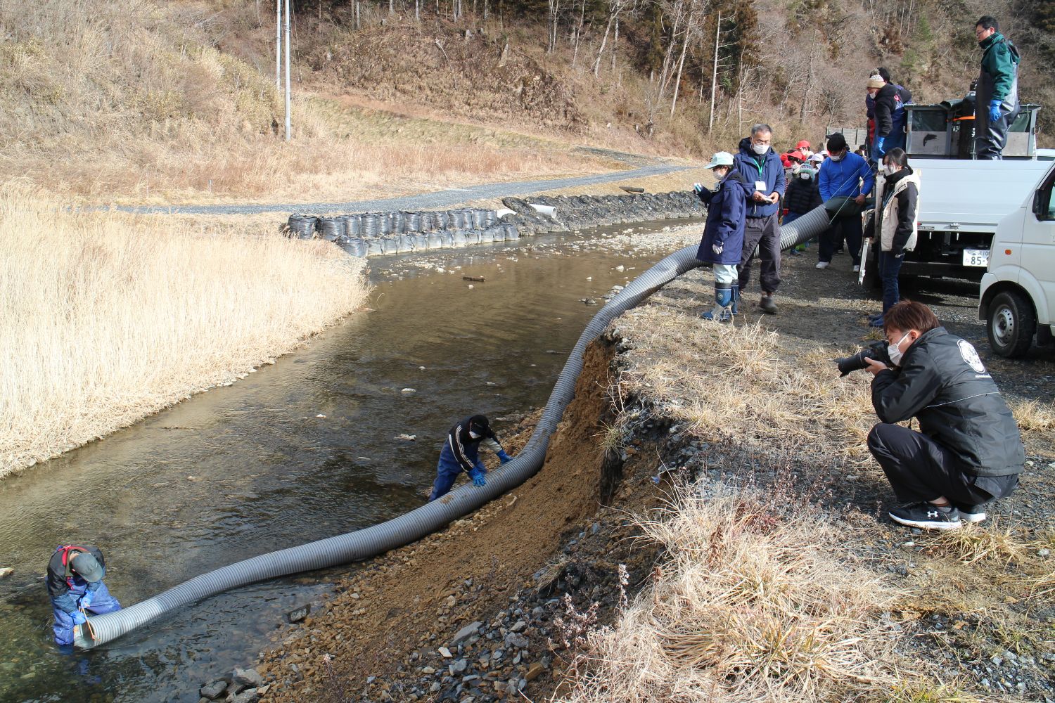 川の岸辺に停めたトラックの上や周りに複数の人々が立っており、トラックからのびた太い灰色のホースを川の中に入った2人が設置し、稚魚を川へと放流している様子の写真