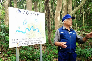 「魚つき保安林」と書かれた案内板の前で、青い服を着た案内人が説明している写真