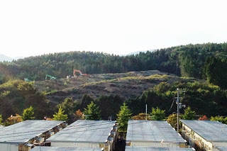 プレハブの仮設住宅の屋根越しに、奥の山の中腹で重機が整地作業をしている様子が見える写真