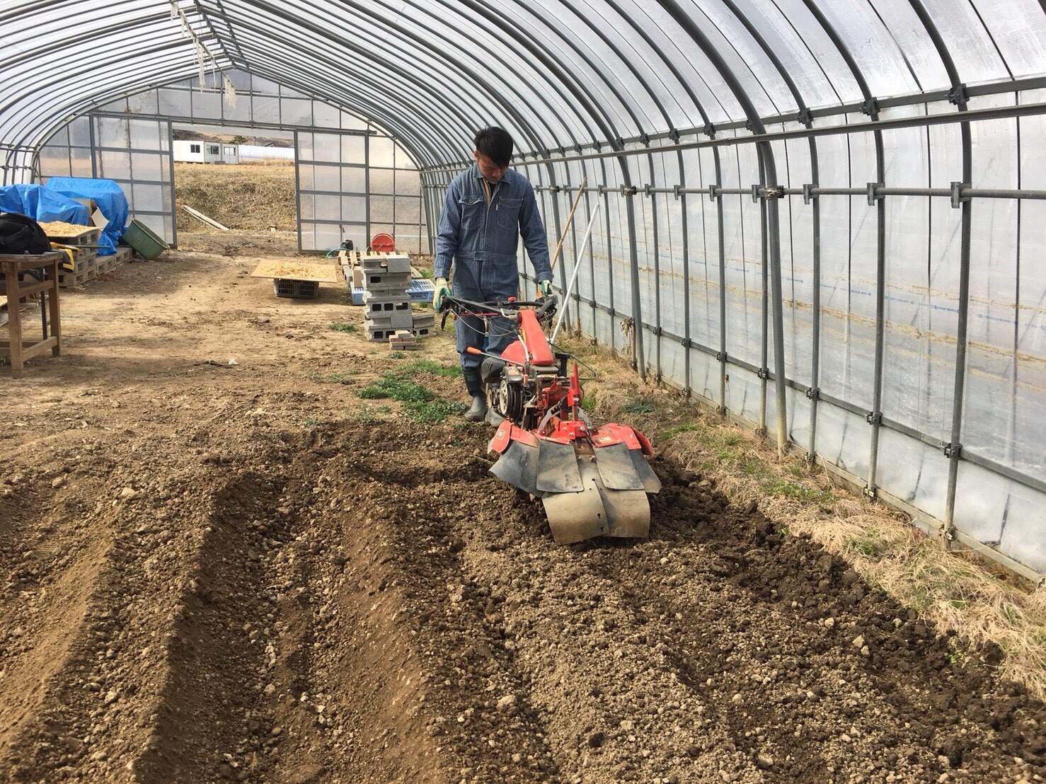 ビニールハウスの中で作業着を着た男性が赤い耕運機を操作して、畝を作る作業を行っている写真