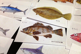 非常に精密でリアルな手描き風の魚のイラストが描かれたカードが多数並んでいる写真