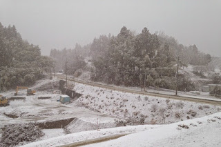 道路の奥に樹木が見えている雪が降り積もった風景を写した写真