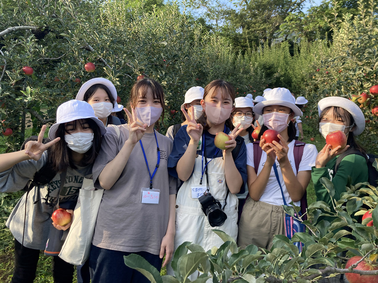 りんご園で白い帽子とマスクを着けた女子児童がカメラに向かってピースをしながら赤と青のりんごを手に笑顔で並んでいる様子の写真