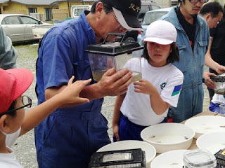白い皿や透明な容器に入った生き物を手に、子どもと大人が目を凝らして観察している様子の写真
