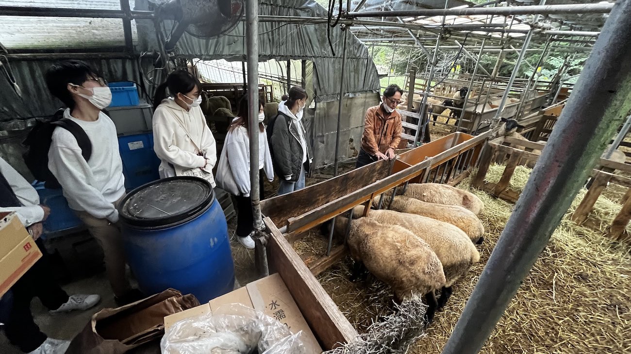 羊舎で飼育者の説明を受けながら、学生たちが実際に羊を見て農業体験をしている写真