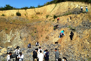 岩肌がむき出しになった崖で、多数の人々が地層を掘って化石を探している様子が広い範囲にわたって写されている写真