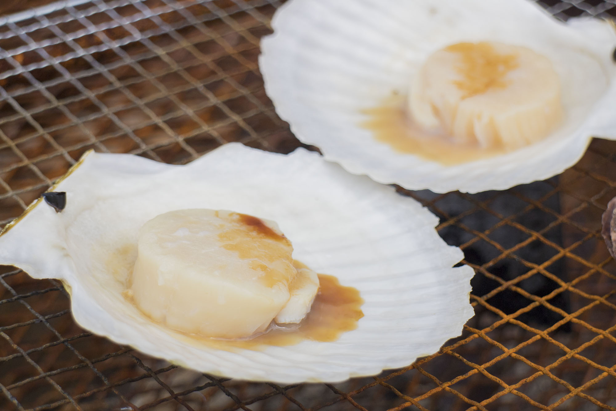 焼き網の上で殻ごと焼かれている2つのホタテ貝の写真