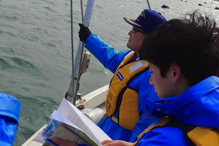 ライフジャケットを着て海の様子をみている男性2名の写真