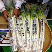 透明な袋に入った長ネギが大きなカゴに並べられ、販売員が手で持ち上げている写真