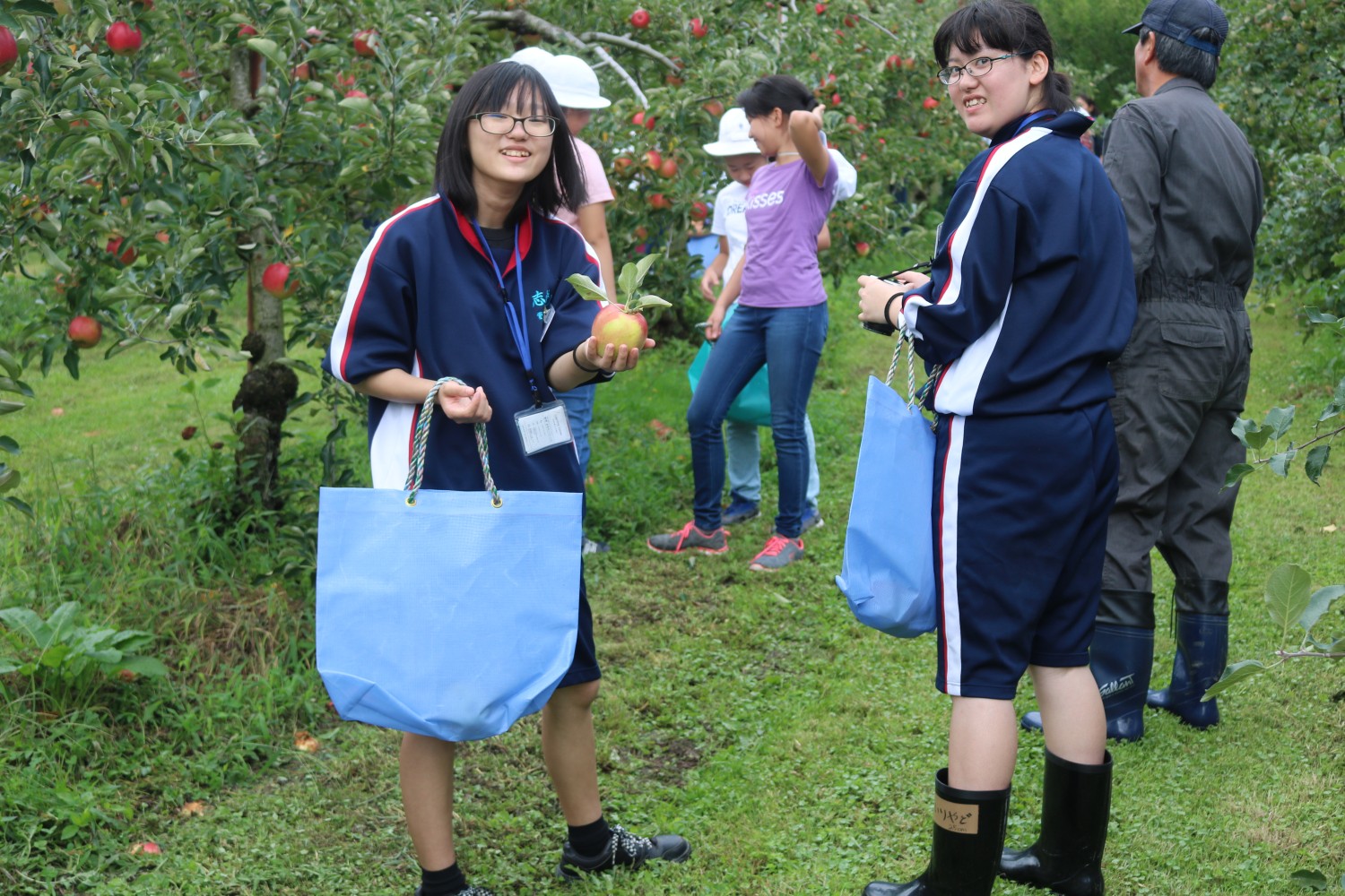 沢山の赤い実がなっているリンゴの果樹園で、大きな青い袋を手に持った紺色のジャージ姿の2人の女子生徒が収穫したりんごを片手に持ちカメラを見ている様子の写真