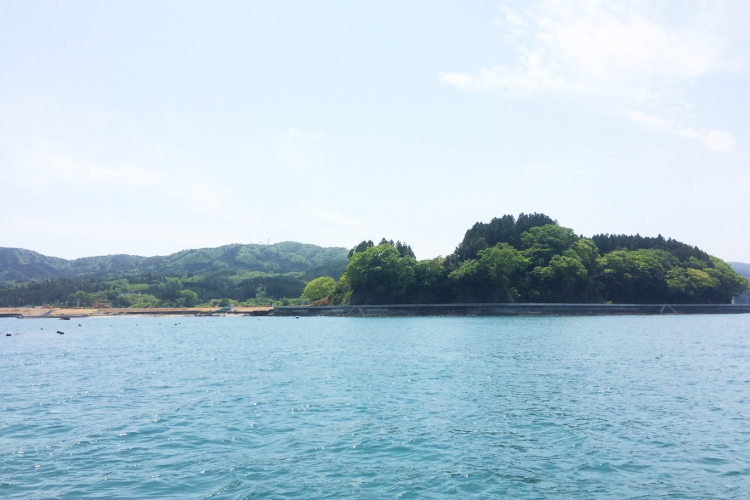 晴れた空の下、穏やかな青い海の先に、緑の木々が生い茂った陸が広がる南三陸の海の写真