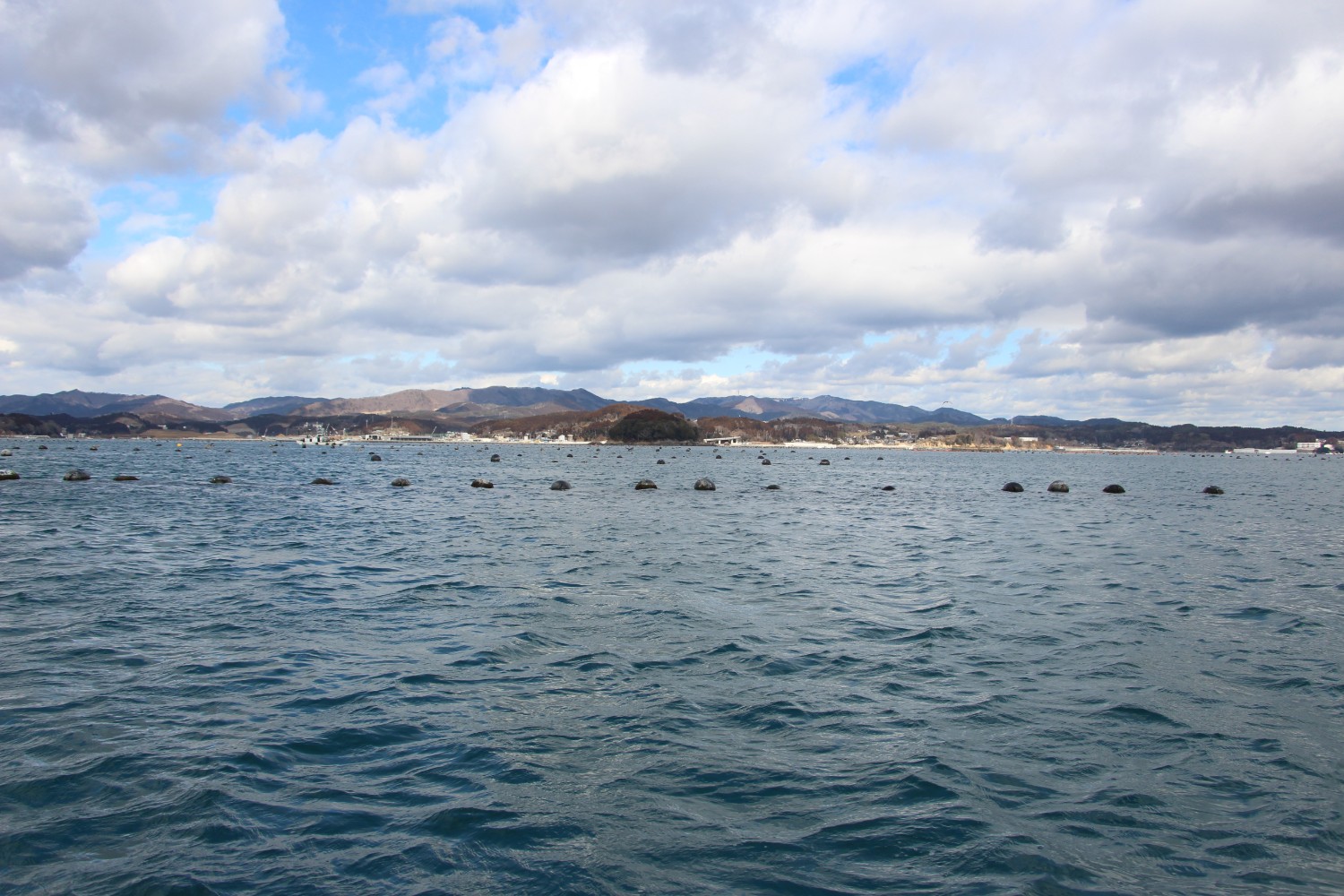 海の向こうに山々が広がり、海面には浮きが一列に並んでいるマガキ養殖の志津川湾の写真