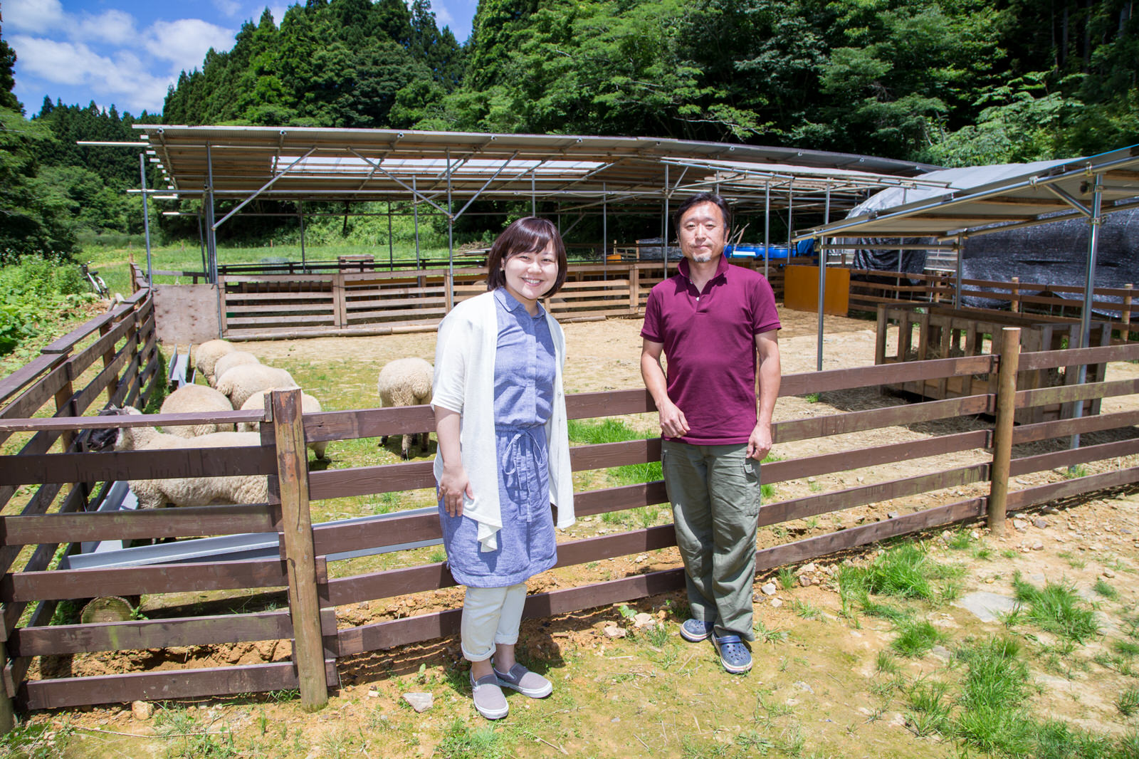 屋根がついた広いスペースの手前の木の柵に囲まれた広場で、草地に集まった複数の羊が草を食べており、柵の前に並んで立ったリポーターの女性と金藤さんが笑顔でカメラを見ている写真