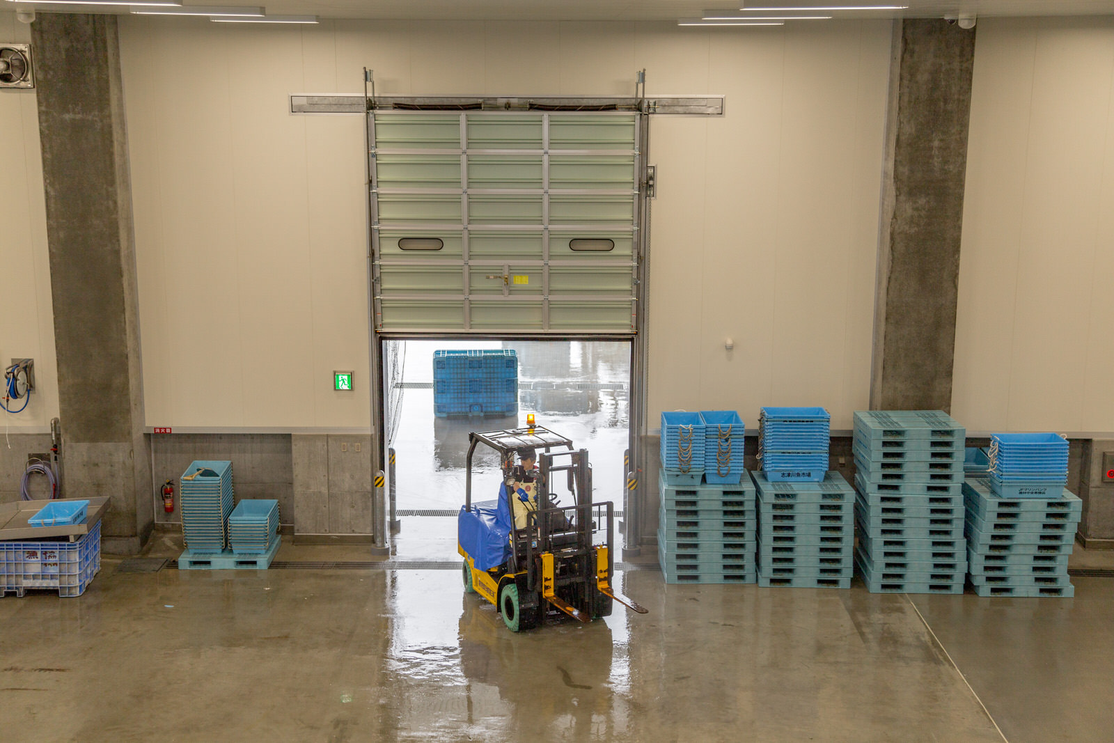 左右の壁沿いに青いコンテナやパレットが整然と並んだシャッター扉からフォークリフトが市場へ入ってきている様子の写真