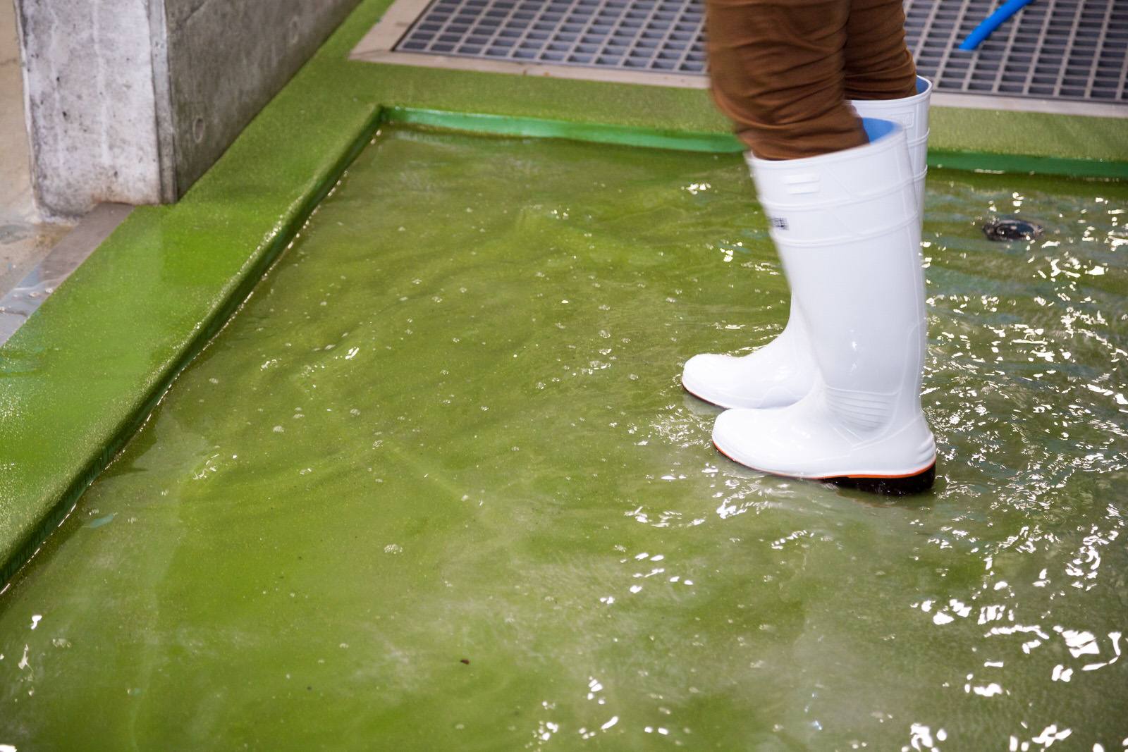 緑色の四角い浅いくぼみに貯められた水の中に白い長靴をはいた足を入れ、洗浄している様子の写真