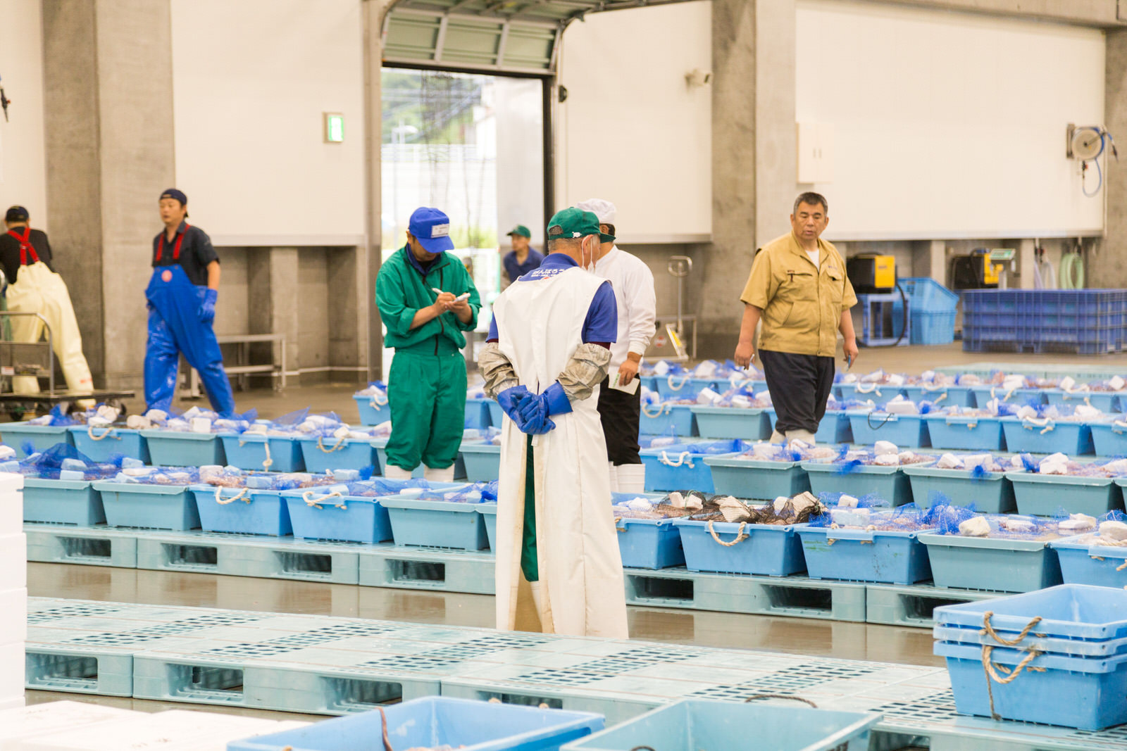 何列も並んだ水色のパレットの上にたくさんの青いコンテナが整然と置かれ、その周りで市場関係者の男性たちが作業をしている様子の写真
