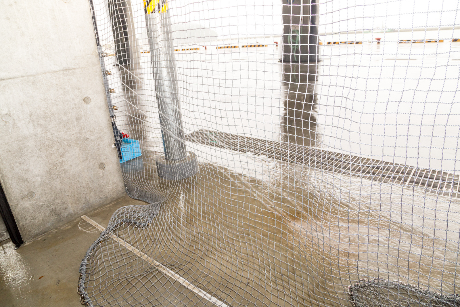 入口に設置されたグレーの防鳥ネットの写真