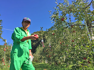 リンゴの木の前で黄緑のつなぎを着た男性が手にリンゴをもっている写真