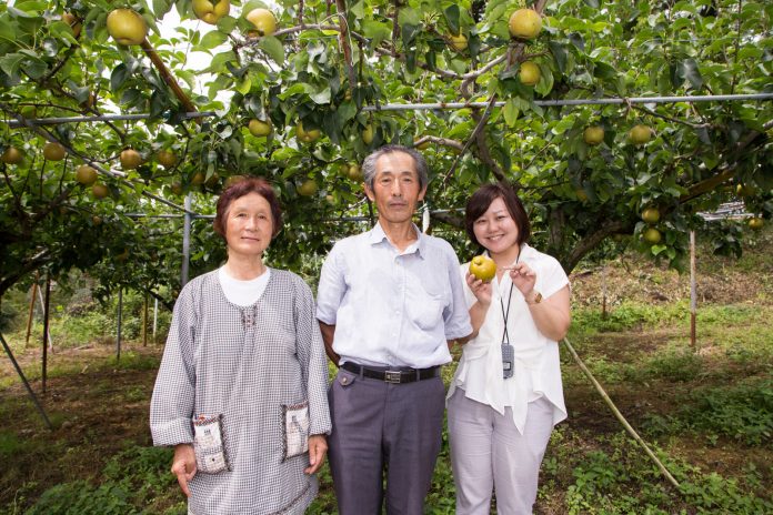 たくさんの実をつけた梨の果樹園の中で、梨を持ったリポーターの女性と、佐藤さん、エプロンを着た女性が並んで立っている写真