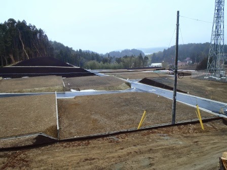 電柱と配線が設置された宅地造成地に舗装道路が整備され、奥に山が広がる写真