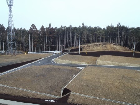 森林に隣接した宅地造成地に新しい道路が通り、造成された区画が等間隔に整備されている写真