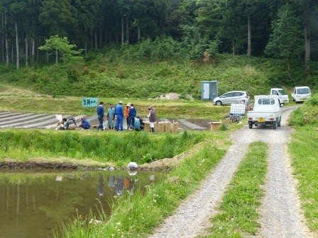 木々が生い茂る中、水がはられた畑は区画分けされ、田園風景の中で、白いトラックや数台の車が停まるそばで人々が畑作業をしている写真