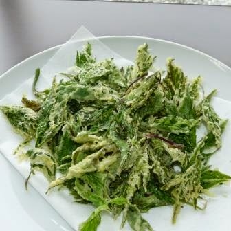 白い丸皿に、トウキリーフを揚げた天ぷらが盛り付けられた写真