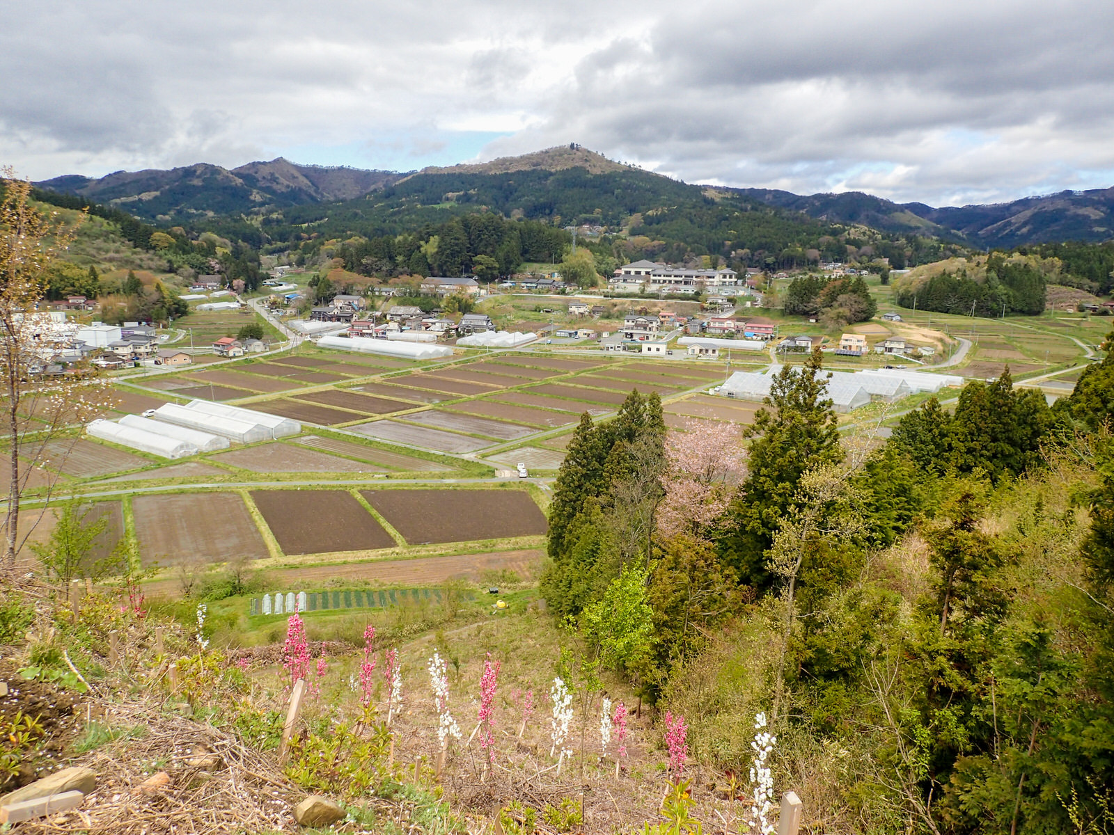 山や森に囲まれた田畑や住宅を高台から撮影した写真