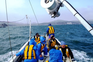 船に乗って海にこぎだしている様子を写した写真