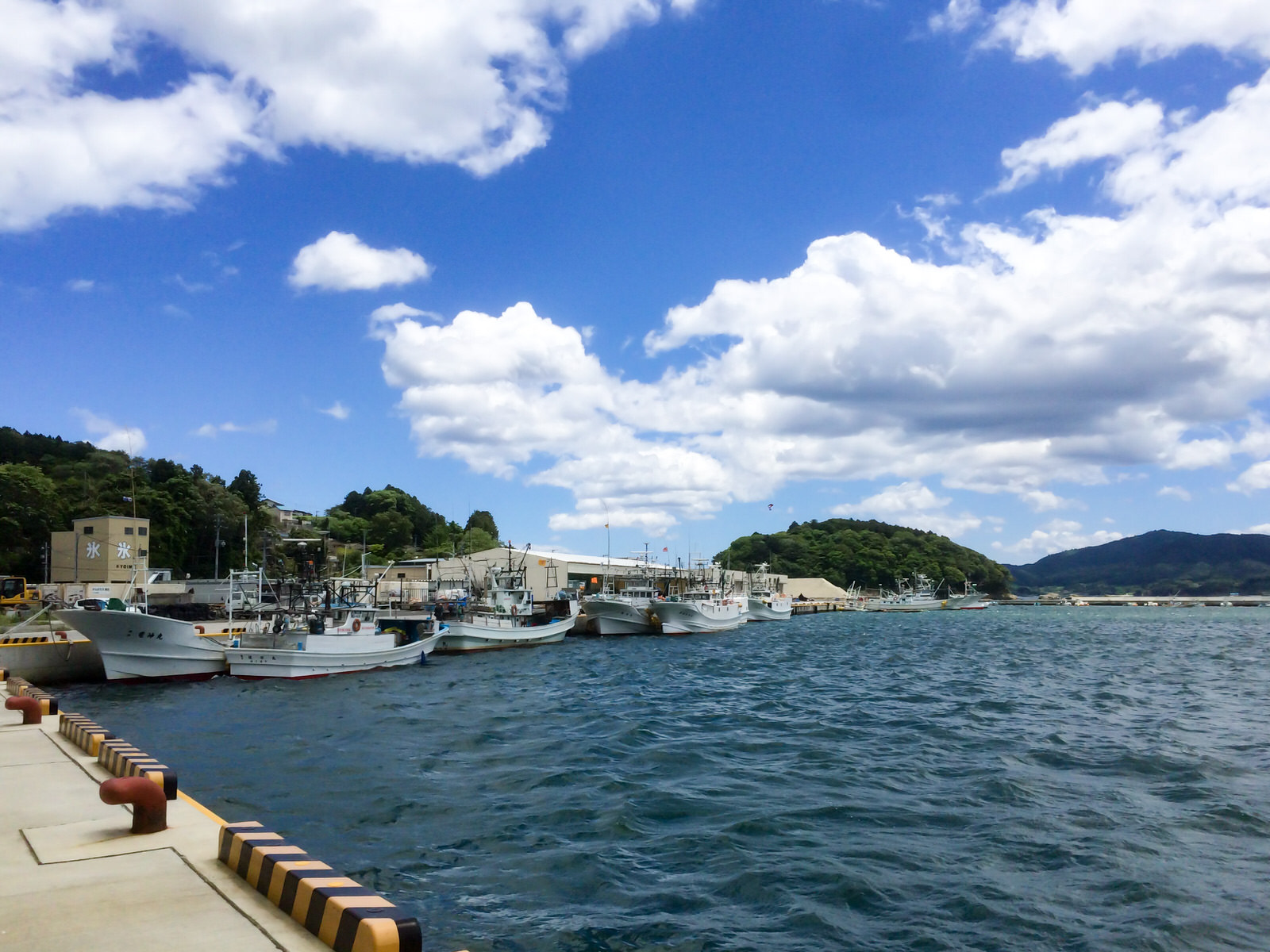 青空と白い雲の下、複数の漁船が岸壁に整然と並んで停泊しており、魚市場の施設と緑の山々が見える穏やかな港の風景を写した写真