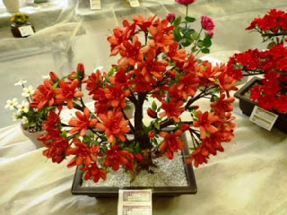 赤い花が密集して咲いている盆栽風のツツジのシルクフラワーが白い布をかけた机の上に展示されている写真