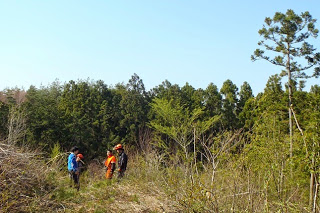 草木が鬱蒼と茂った林縁で、作業着とヘルメットを着けた人たちと一人の男性が話をしている森林調査中の写真