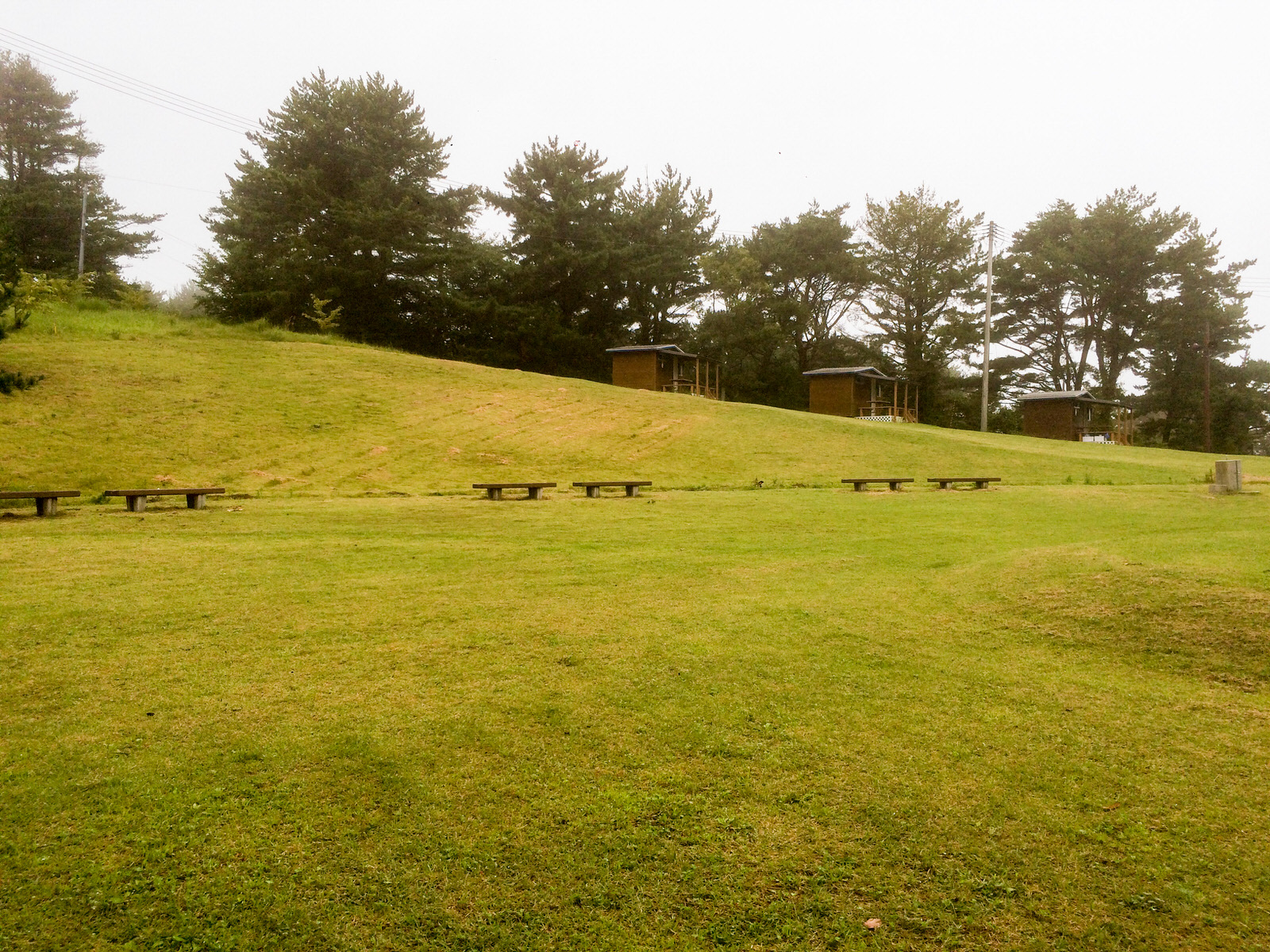 傾斜のある芝生広場の奥に、木々を背にして数棟の木造キャビンが並び、手前には複数のベンチが置かれているキャンプ場の写真
