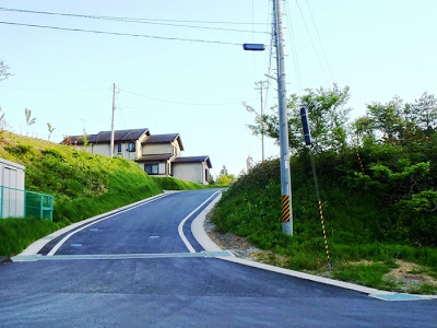 緩やかな坂道が手前から奥へと続き、道の両側には木々や草が生い茂り、坂の上には数軒の住宅が並んでいる様子が見える風景の写真