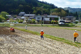 トラクターが耕している田んぼの中で、オレンジの作業着を着た人々が液体肥料をまいている農作業の様子の写真