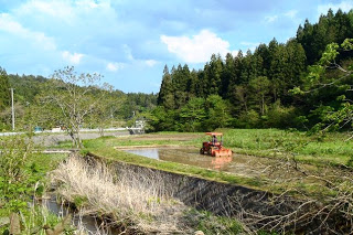 赤いトラクターが一枚の水田を丁寧に耕している様子が写り、その奥に広がる森と青空が初夏の清々しさを感じさせる自然風景の写真