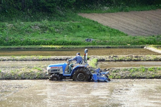 男性が小型のトラクターを使って水を張った田んぼの中をゆっくりと耕している様子が写っている写真