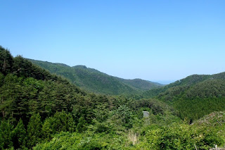 緑豊かな山々が連なる自然豊かな風景で、青空の下に広がる森林と遠くに見える山並みが見える景色の写真
