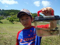 田んぼの前で、赤と青のシャツを着た男の子が、水生生物の入った透明なプラスチックケースを手に持ち、カメラに向かって見せている写真
