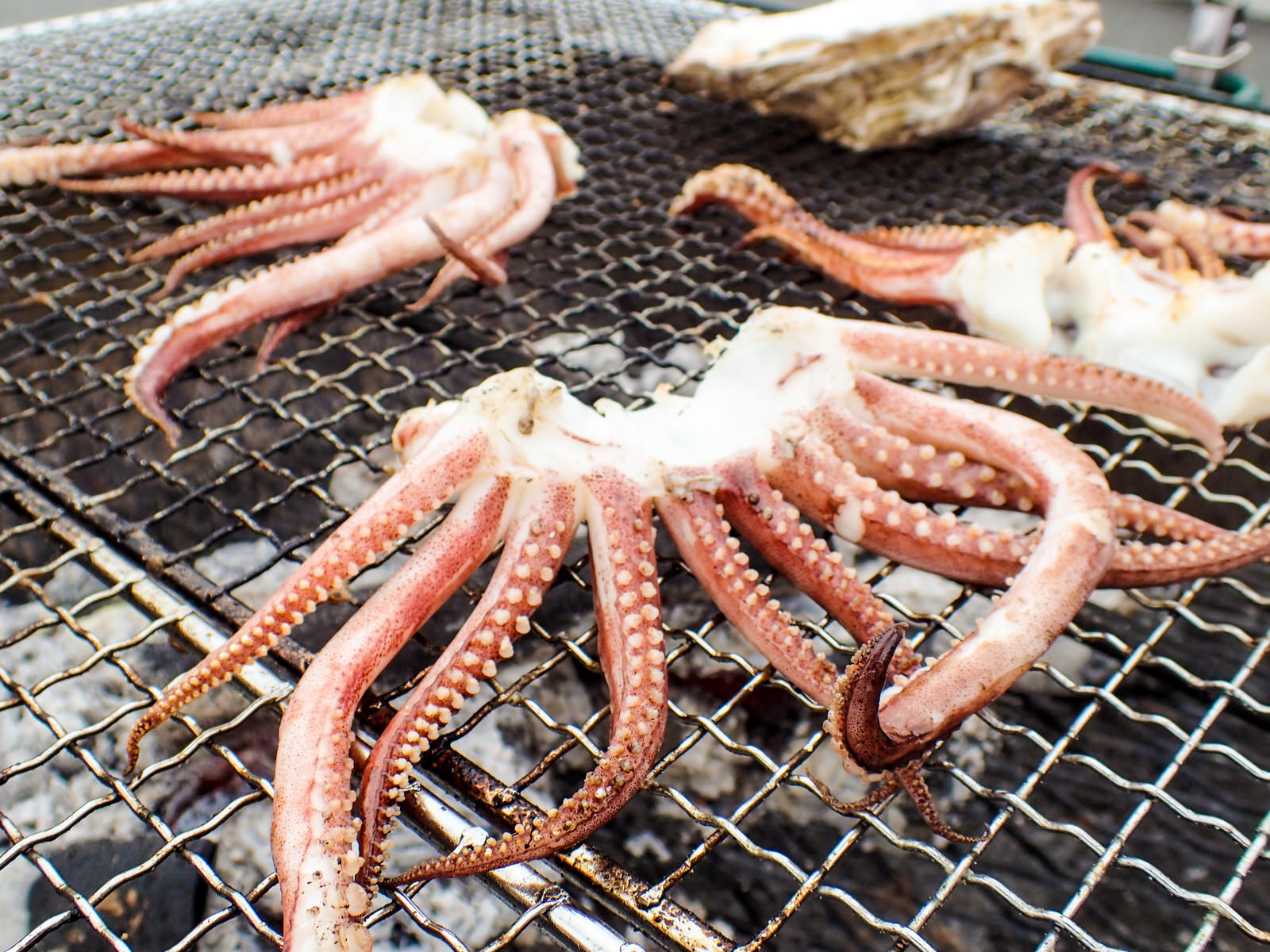 炭火焼の網の上でイカの足を香ばしく焼いている様子を写した写真
