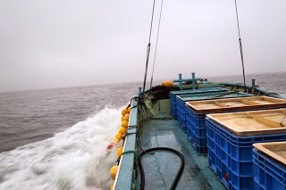 漁船の上に青いプラスチックの魚用コンテナが並び、船が波を立てながら海を進んでいる様子の写真