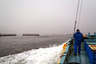 青い作業服の人が乗った漁船が魚の養殖いかだの近くを航行している様子の写真