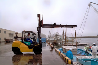港の岸壁でフォークリフトが魚のコンテナを運んでおり、後ろには他の漁船も並んでいる様子の写真